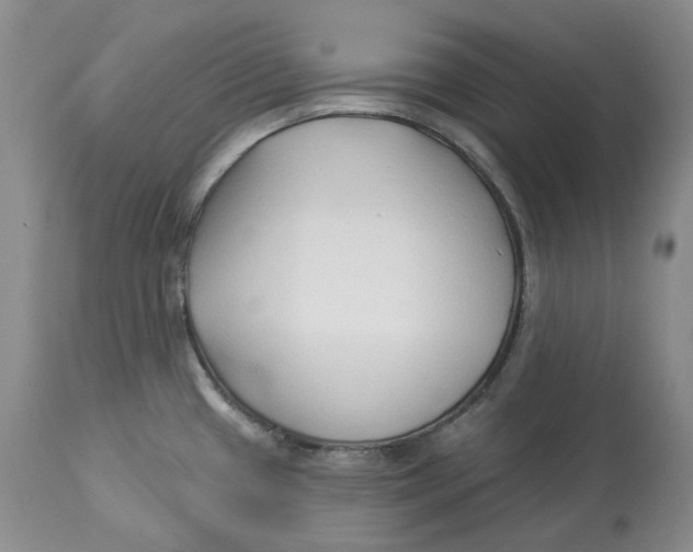 X0000114021433200910231827