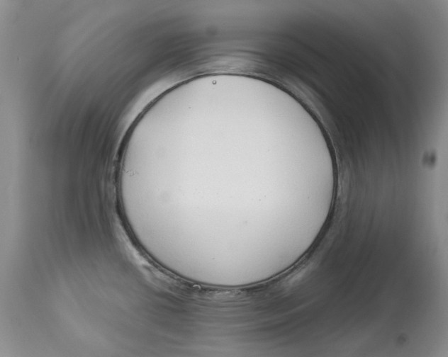 X0000114021434200910231827