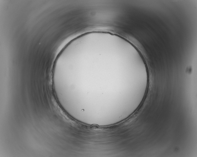 X0000114021436200910231827