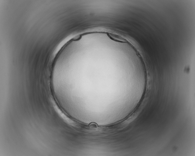 X0000114021438200910231827