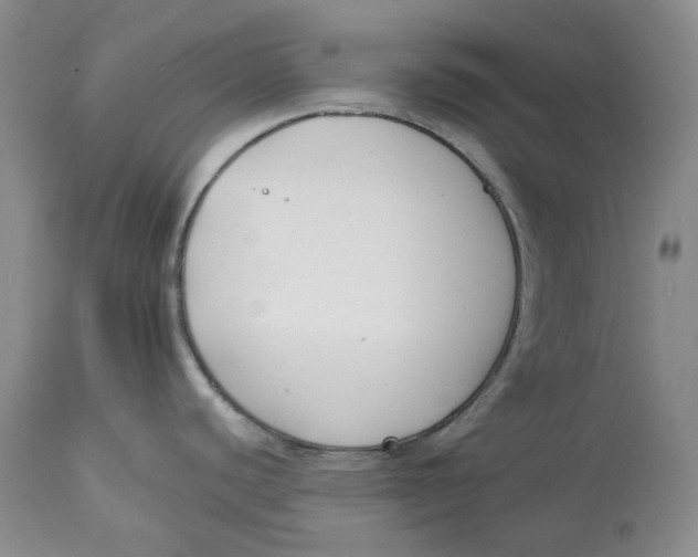 X0000114021440200910231827