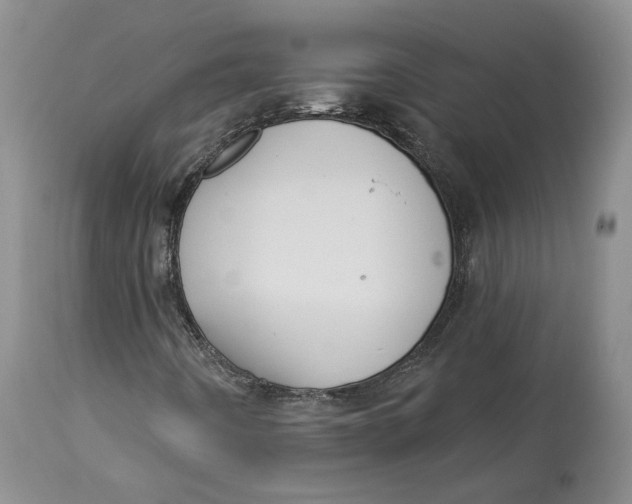 X0000114021442200910231826