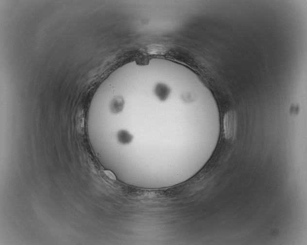 X0000114021443200910231826