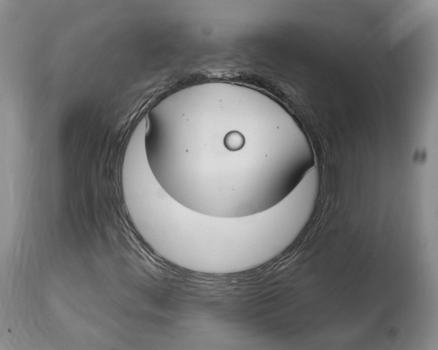 X0000114021444200910231826