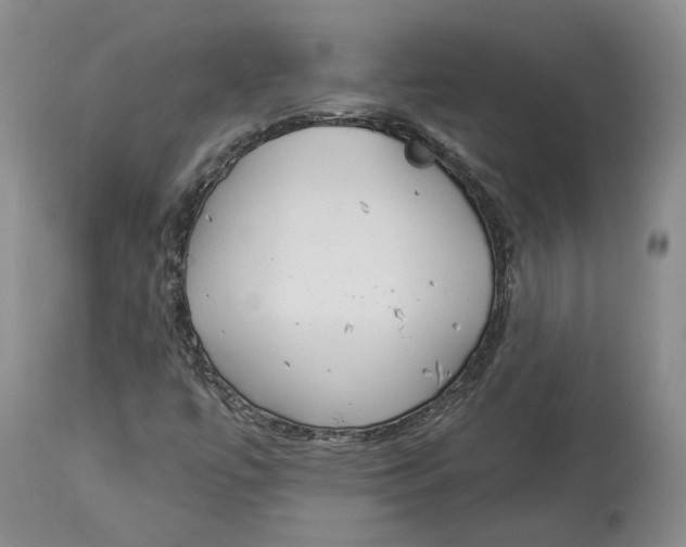 X0000114021447200910231826