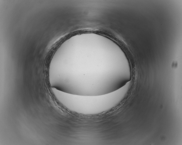 X0000114021448200910231826