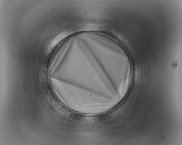 X0000114021453200910231826