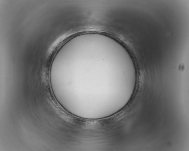 X0000114021454200910231826