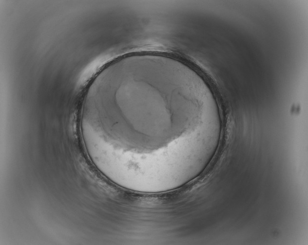 X0000114021455200910231826