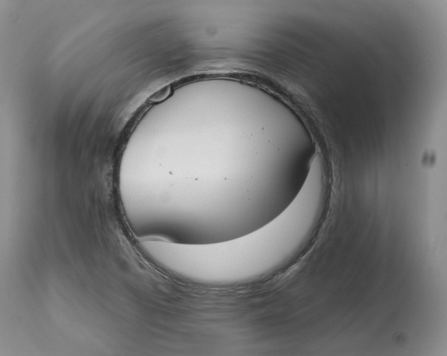 X0000114021457200910231826