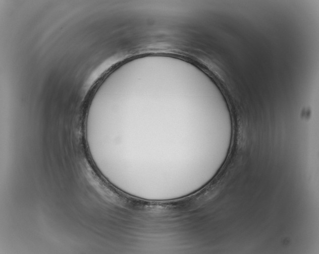 X0000114021458200910231826