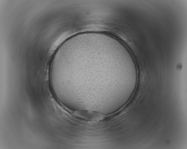 X0000114021459200910231826