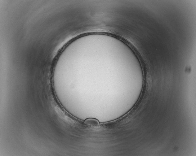 X0000114021460200910231826