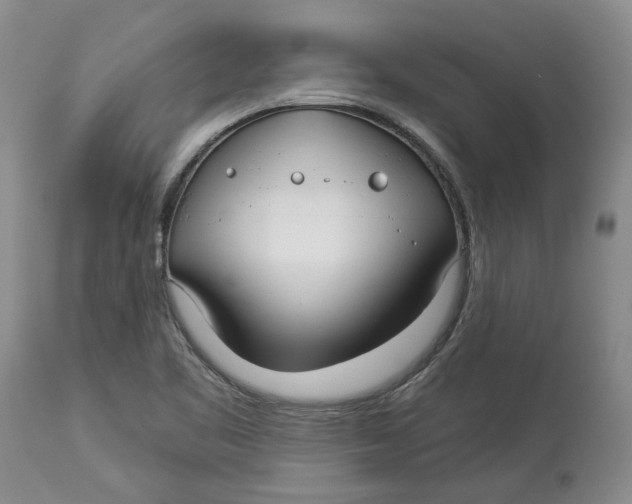 X0000114021461200910231826