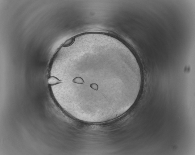 X0000114021463200910231826