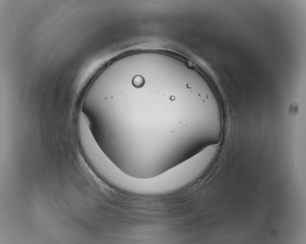 X0000114021464200910231826