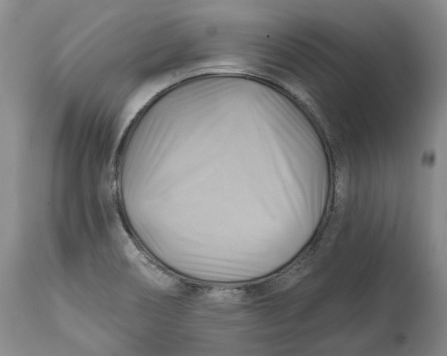 X0000114021466200910231826