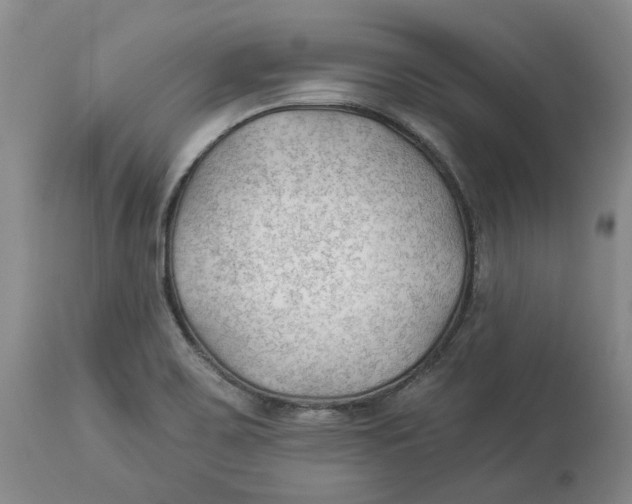 X0000114021467200910231826