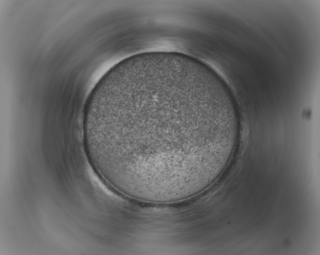 X0000114021468200910231826