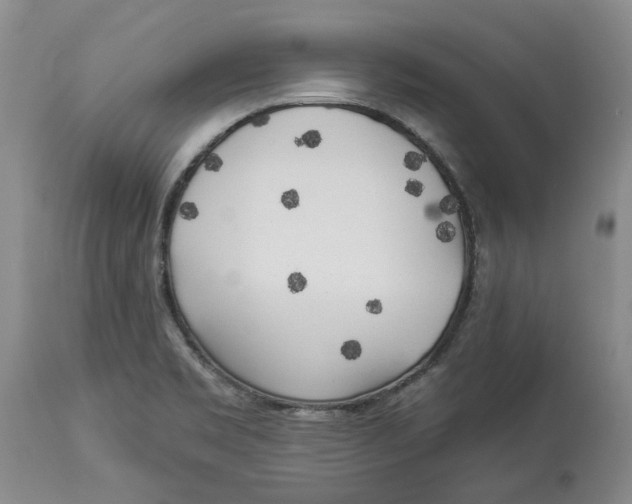 X0000114021469200910231826