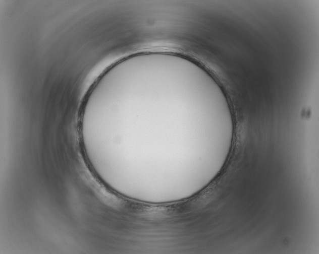 X0000114021470200910231826