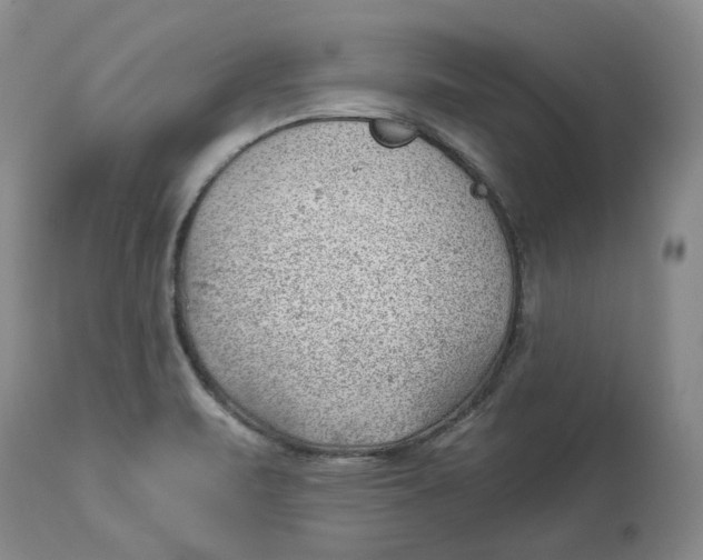 X0000114021471200910231826