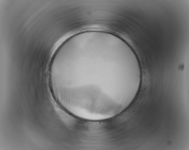 X0000114021474200910231826