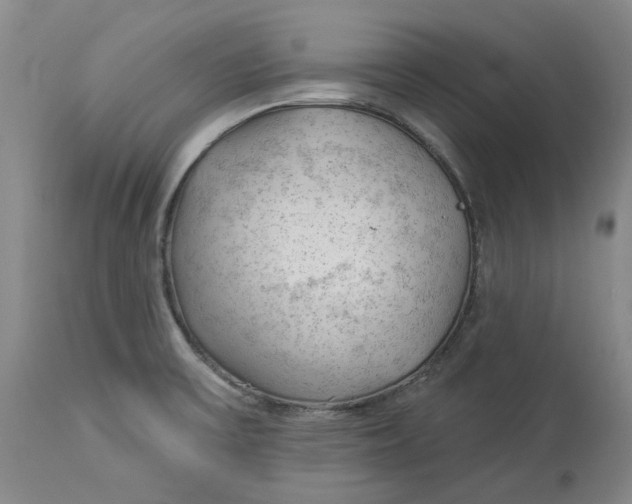 X0000114021475200910231826