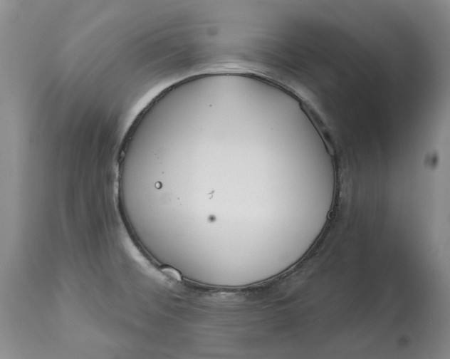 X0000114021476200910231826