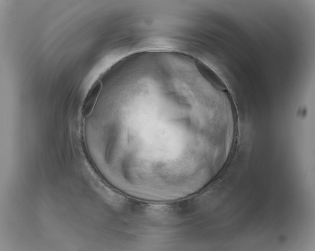 X0000114021477200910231826