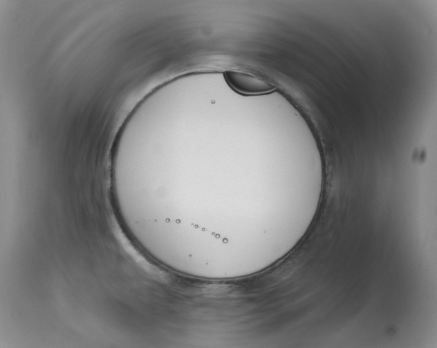 X0000114021479200910231826