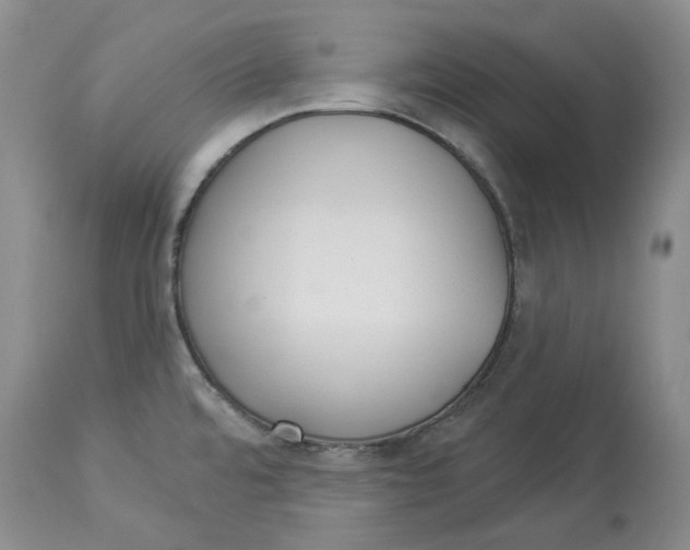 X0000114021480200910231826