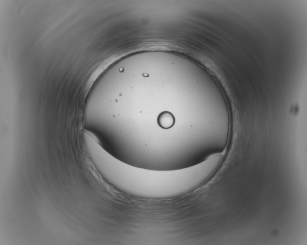 X0000114021481200910231826