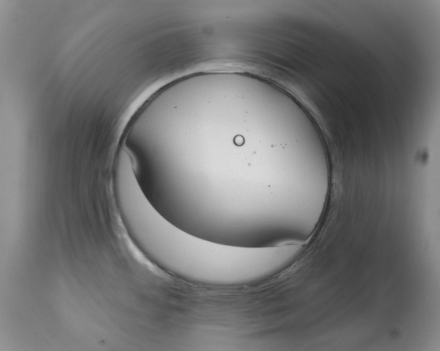 X0000114021484200910231826