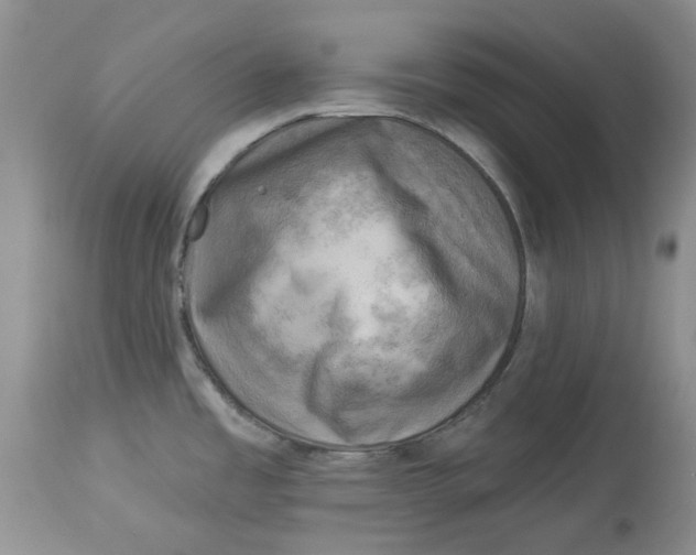 X0000114021485200910231826