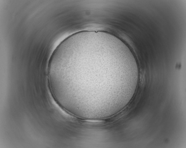 X0000114021487200910231826