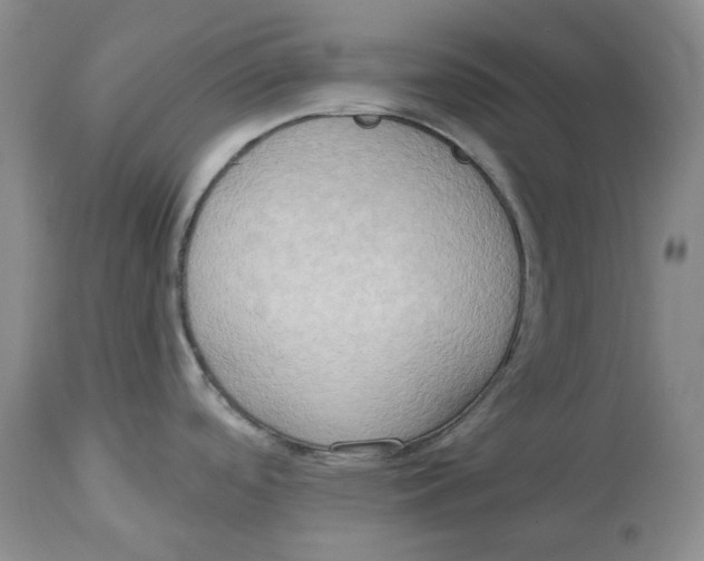 X0000114021488200910231826