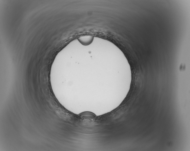 X0000114021489200910231825