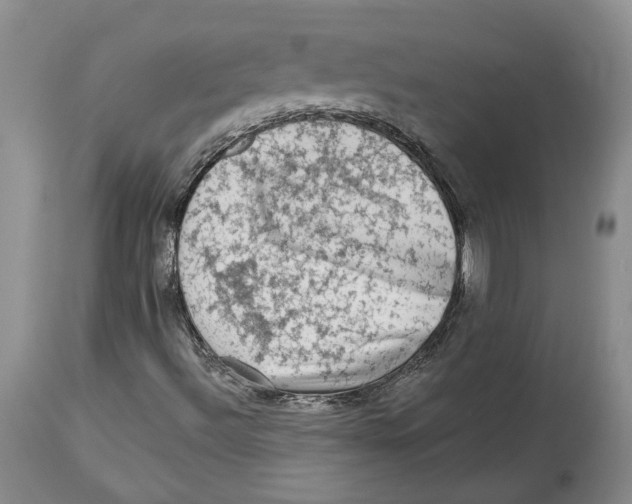 X0000114021492200910231825