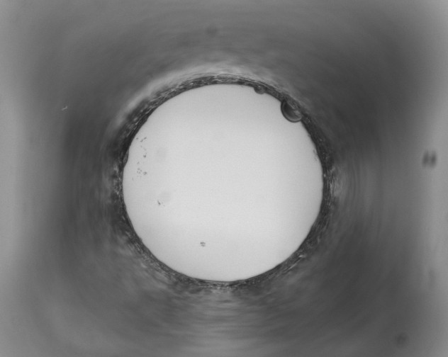 X0000114021495200910231825