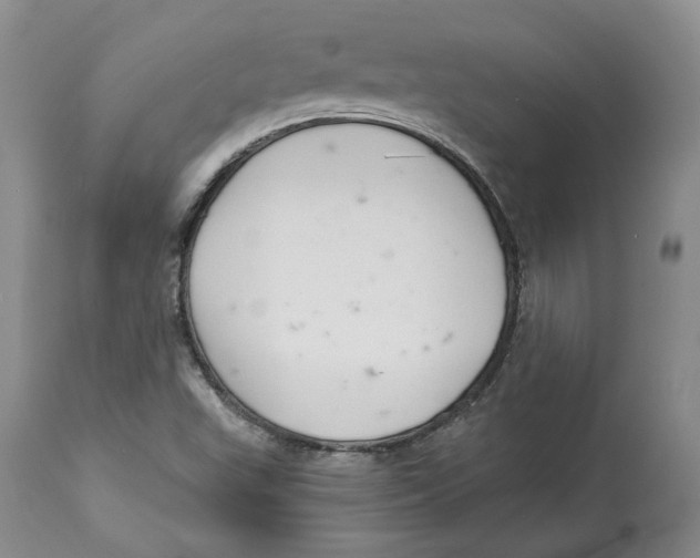 X0000114021503200910231825