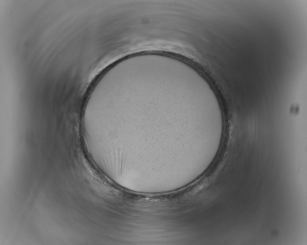 X0000114021505200910231825