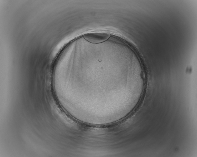 X0000114021506200910231825