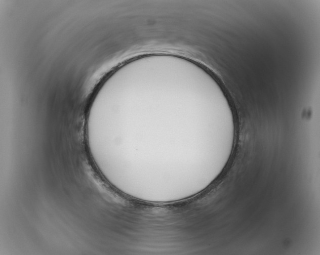 X0000114021507200910231825