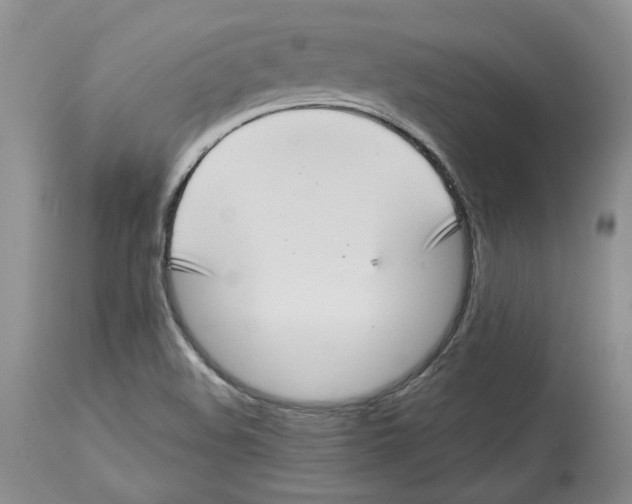 X0000114021508200910231825