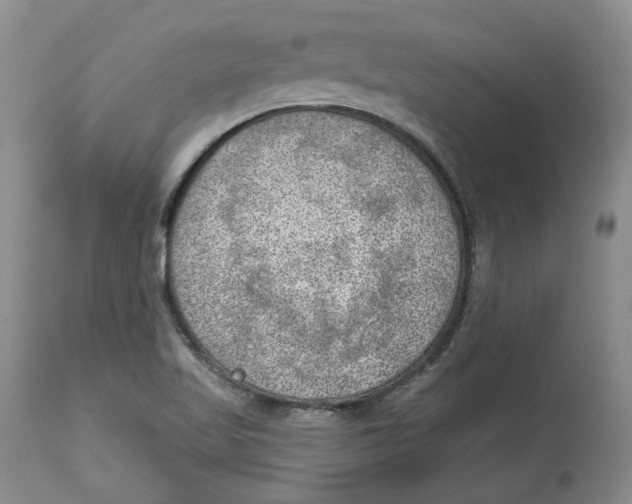 X0000114021509200910231825