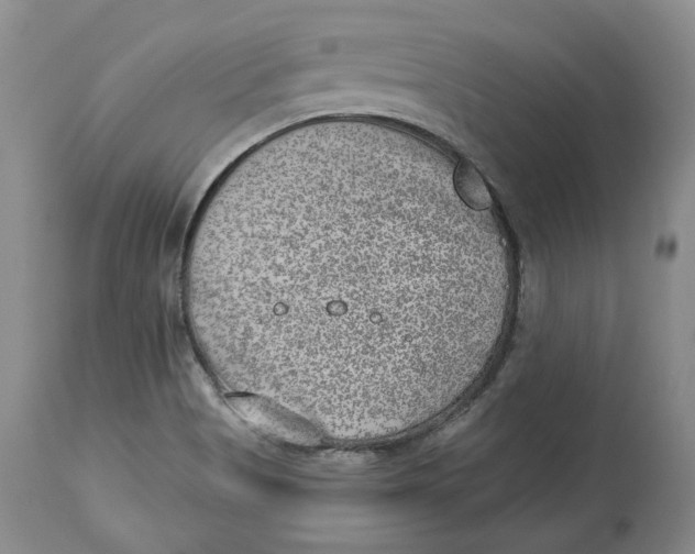 X0000114021513200910231825