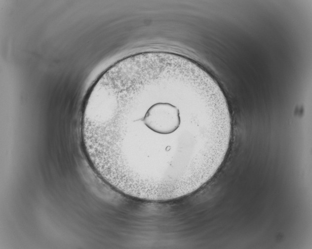 X0000114021514200910231825