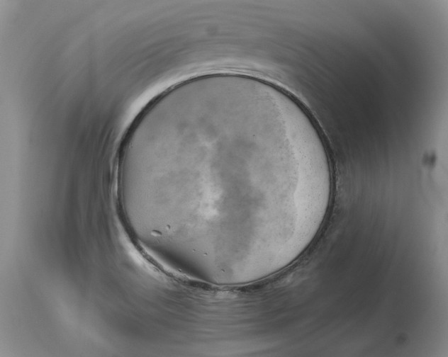 X0000114021515200910231826