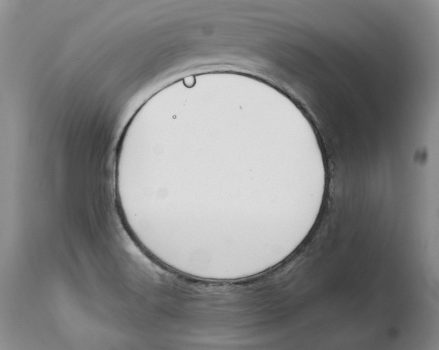 X0000114021516200910231826